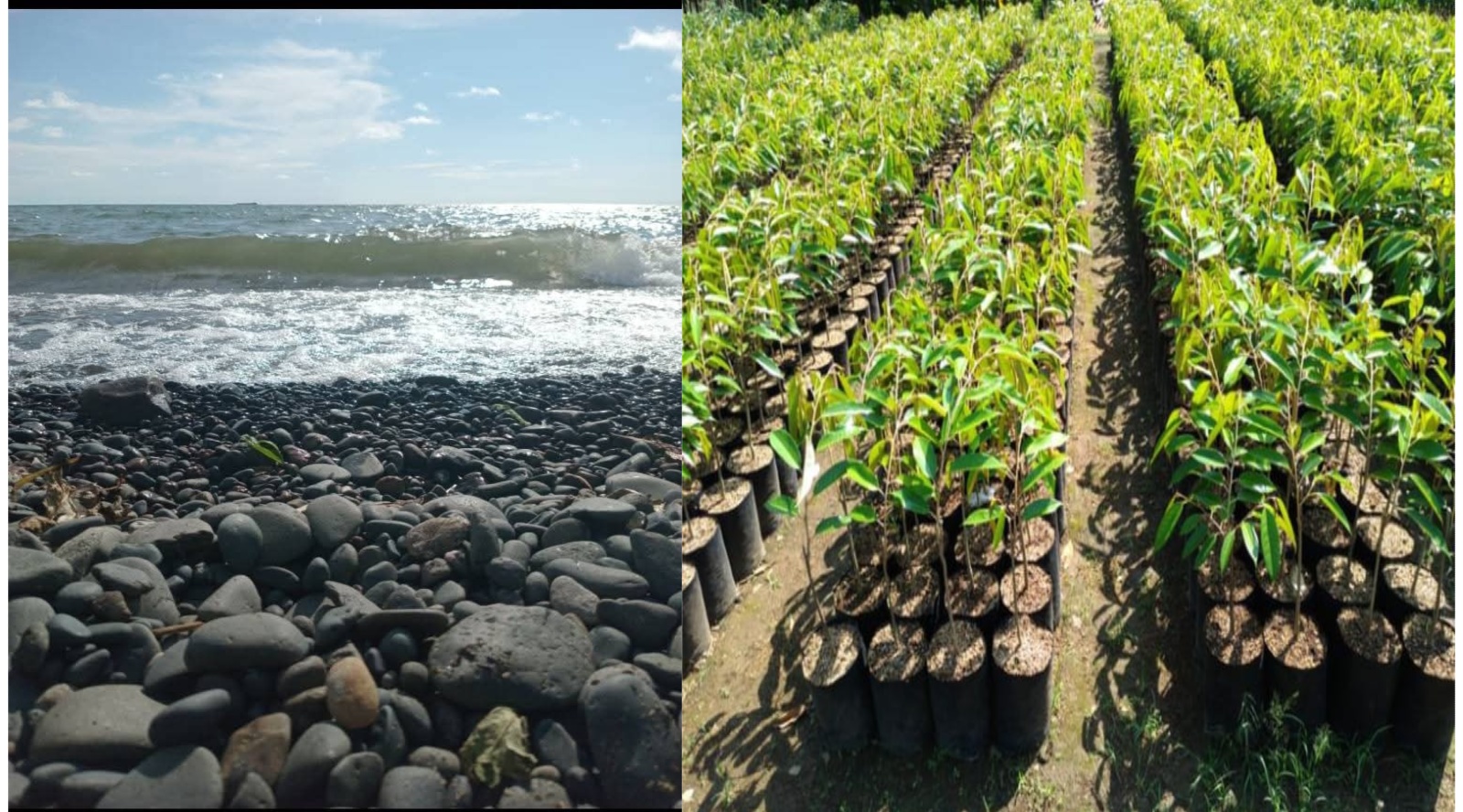 Environmental Initiatives