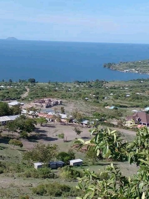 Beach cleanup volunteers in action