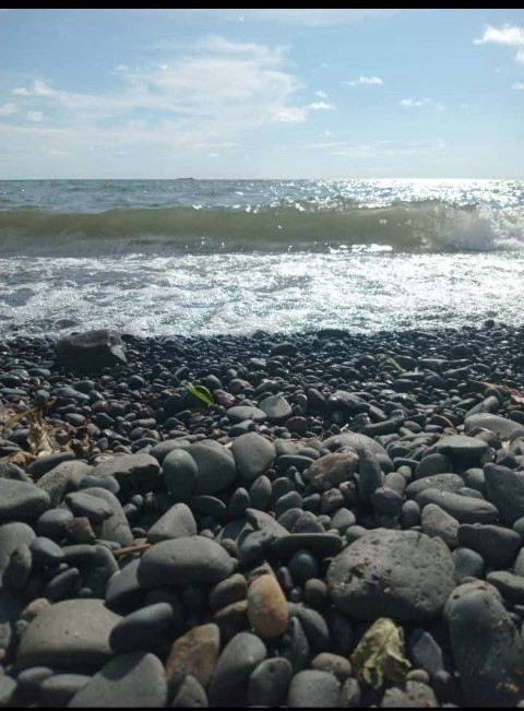 Coastal conservation efforts