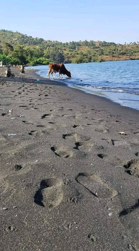 Marine environment protection