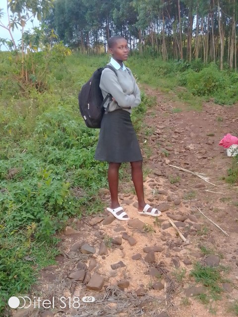 School supplies distribution to students